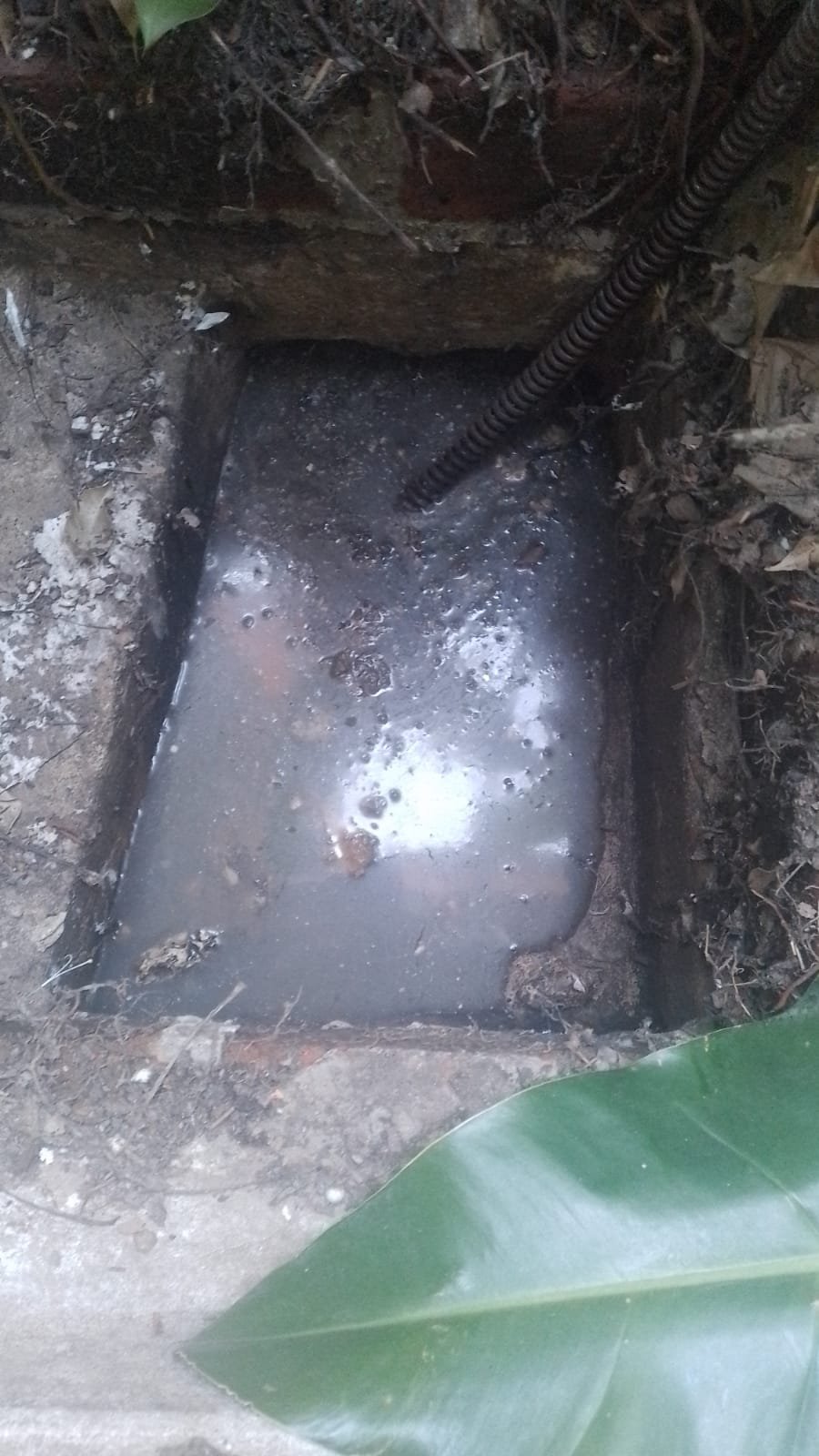 Desobstrucción de cloacas y desagües pluviales en viviendas residenciales de Haedo